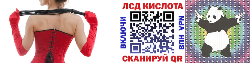 Купить где  Каневская  Марки 25I-NBOMe 1,8мг 