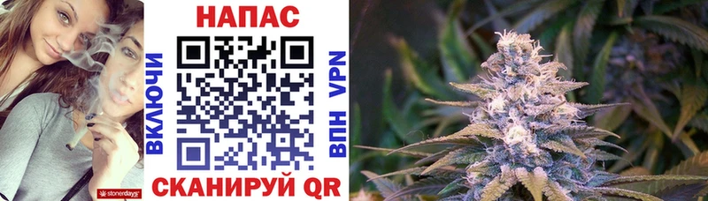 Купить где  Каневская  Бошки Шишки индика 